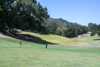 Enlarge photo 90
