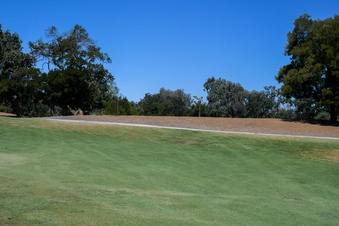 Enlarge photo 91