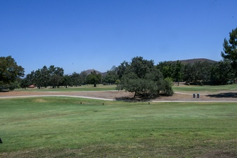Enlarge photo 95