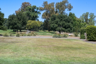 Enlarge photo 103