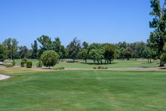 Enlarge photo 108