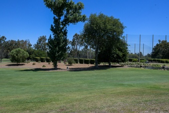 Enlarge photo 109