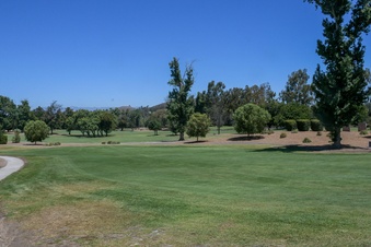 Enlarge photo 110