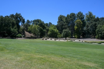 Enlarge photo 113