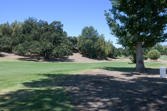Enlarge photo 114