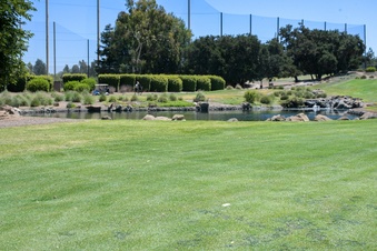 Enlarge photo 115