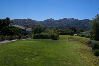 Enlarge photo 19