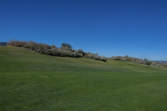 Enlarge photo 30