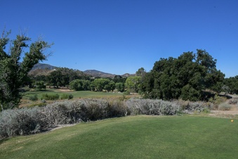 Enlarge photo 36