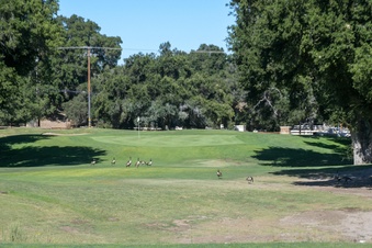 Enlarge photo 43