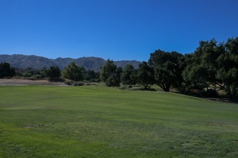 Enlarge photo 48