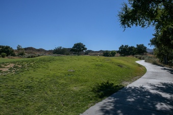 Enlarge photo 52