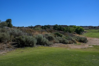 Enlarge photo 56