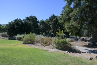 Enlarge photo 57