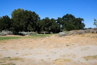 Enlarge photo 59