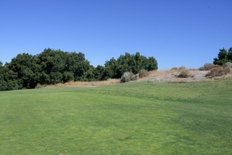 Enlarge photo 64