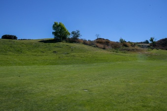 Enlarge photo 67