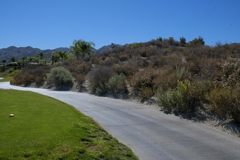 Enlarge photo 78