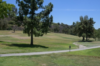 Enlarge photo 33