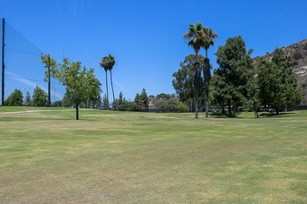 Enlarge photo 40