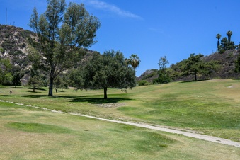 Enlarge photo 41