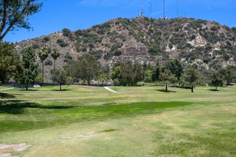Enlarge photo 45