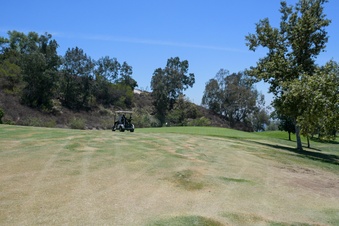 Enlarge photo 46