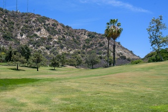 Enlarge photo 47