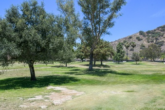 Enlarge photo 48
