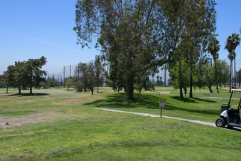 Enlarge photo 52