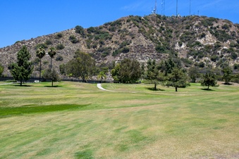 Enlarge photo 55