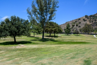 Enlarge photo 56