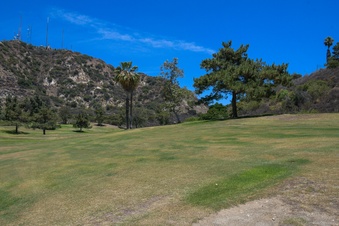 Enlarge photo 57