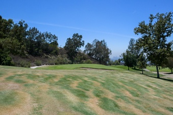 Enlarge photo 58