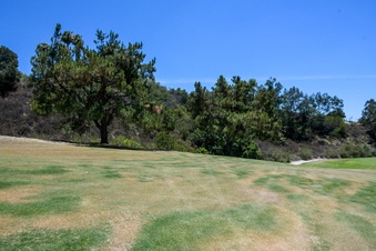 Enlarge photo 59
