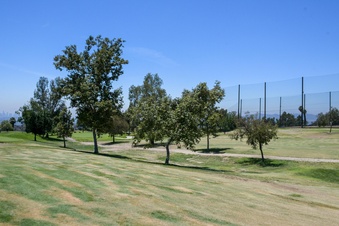 Enlarge photo 60
