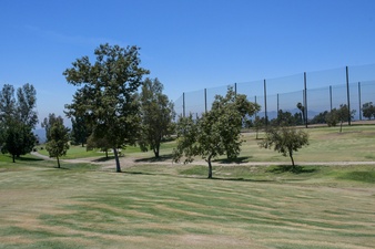 Enlarge photo 62