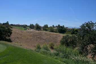 Enlarge photo 35