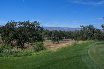 Enlarge photo 17