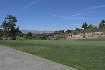 Enlarge photo 41