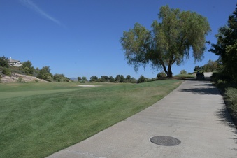 Enlarge photo 42