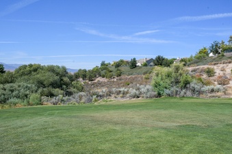 Enlarge photo 45