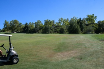 Enlarge photo 47