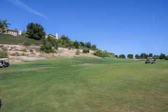 Enlarge photo 48
