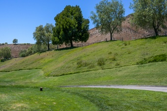 Enlarge photo 18