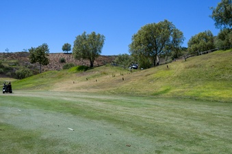 Enlarge photo 26