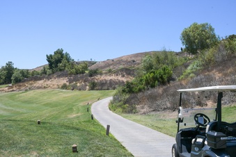 Enlarge photo 42