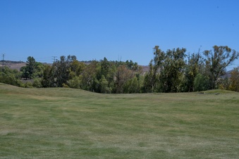 Enlarge photo 45