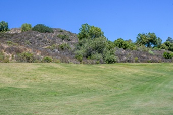 Enlarge photo 46