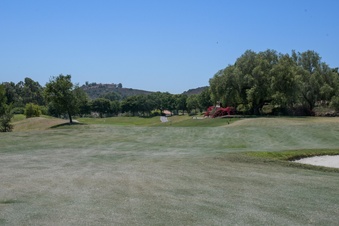 Enlarge photo 47